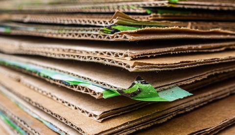 Recycling Market Development